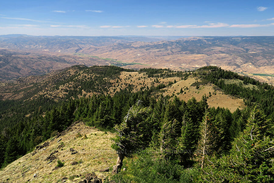 view to the northwest [Aldrich Mountain, Malheur National Forest, Grant County, Oregon]