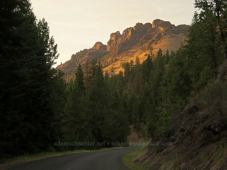 ridge northwest of Fields Peak [Forest Road 21, Malheur National Forest, Grant County, Oregon]