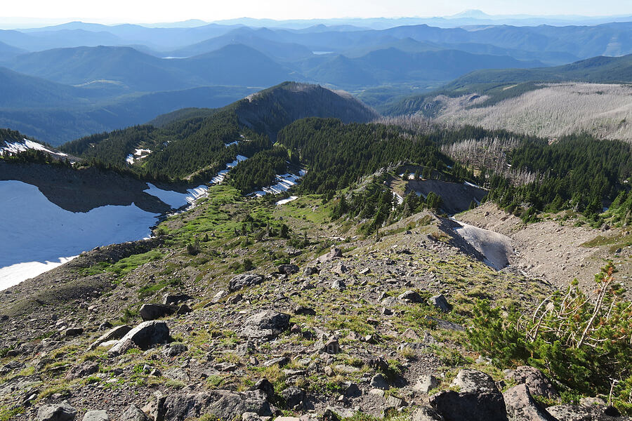 Gladd Ridge [above Cairn Basin, Mt. Hood Wilderness, Hood River County, Oregon]