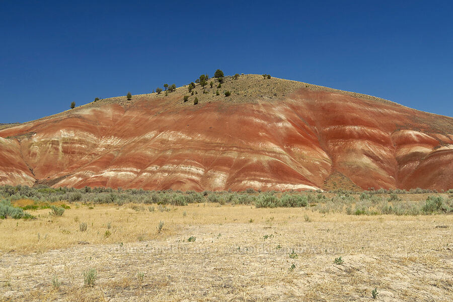 painted hills [Burnt Ranch Road, Wheeler County, Oregon]