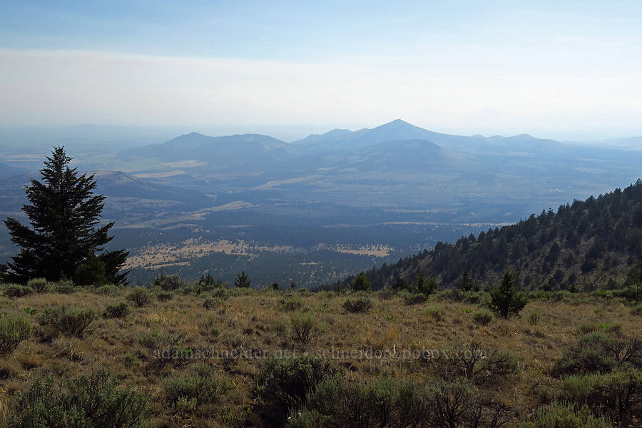 Gray Butte [Grizzly Mountain, Crook County, Oregon]
