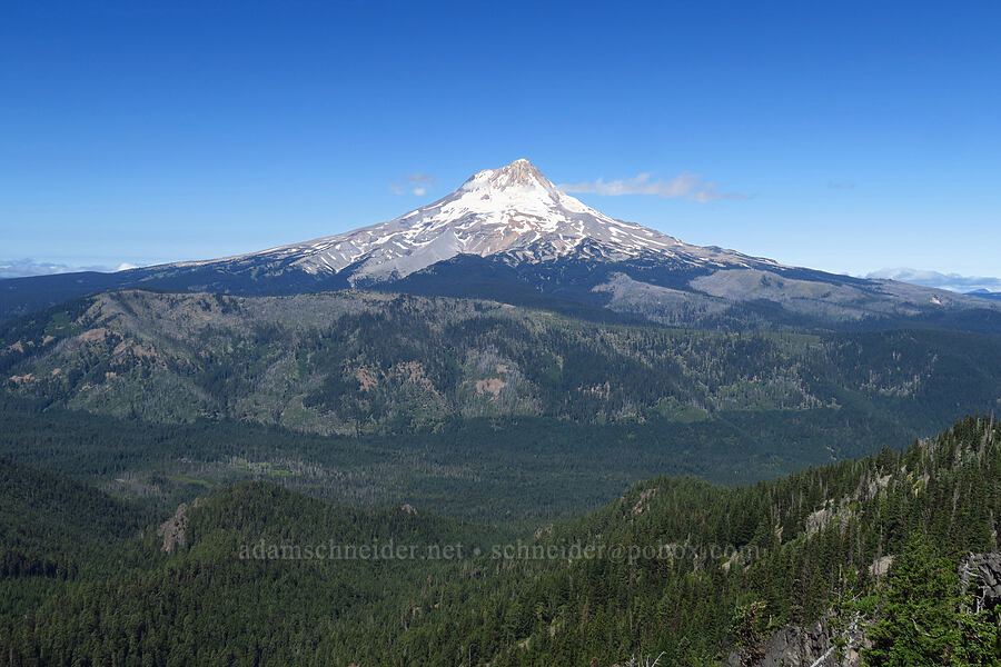 Mount Hood [High Prairie Trail, Badger Creek Wilderness, Hood River County, Oregon]
