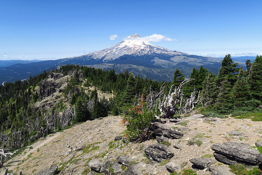 Mount Hood & Lookout Mountain [Lookout Mountain, Badger Creek Wilderness, Hood River County, Oregon]