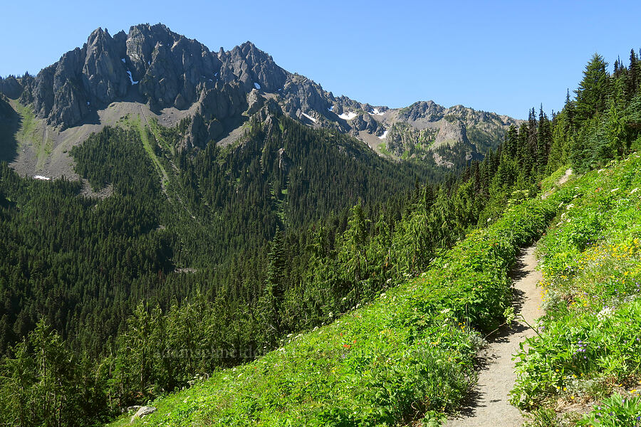 Boulder Ridge & the trail [Upper Big Quilcene Trail, Buckhorn Wilderness, Jefferson County, Washington]