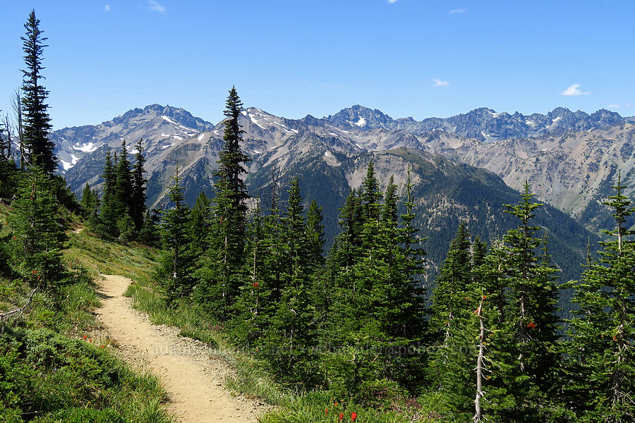 Olympic Mountains [Marmot Pass, Buckhorn Wilderness, Jefferson County, Washington]