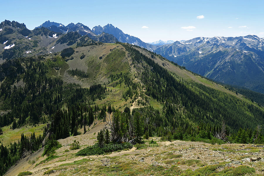 ridge south of Marmot Pass [Buckhorn Mountain Trail, Buckhorn Wilderness, Jefferson County, Washington]