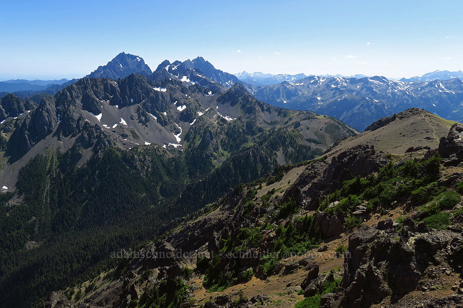 Olympic Mountains [summit of Buckhorn Mountain, Buckhorn Wilderness, Jefferson County, Washington]