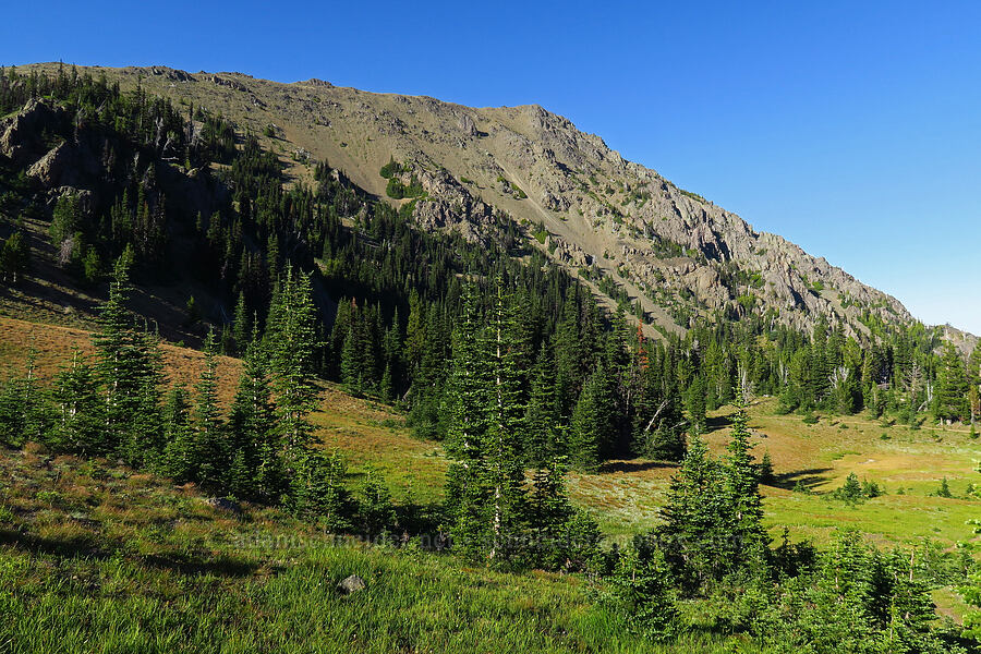 Buckhorn Mountain [near Marmot Pass, Buckhorn Wilderness, Jefferson County, Washington]