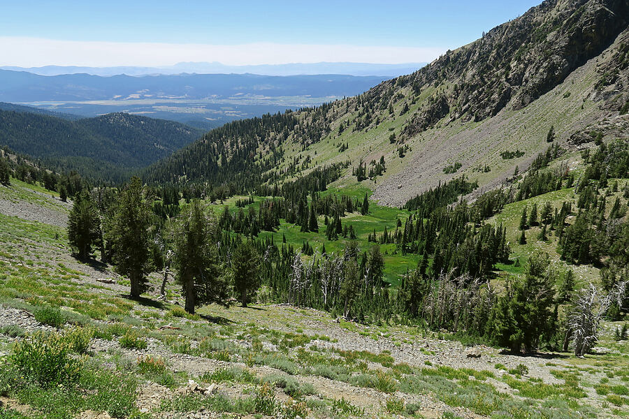 green meadows below Twin Lakes [Twin Lakes Trail, Wallowa-Whitman National Forest, Baker County, Oregon]