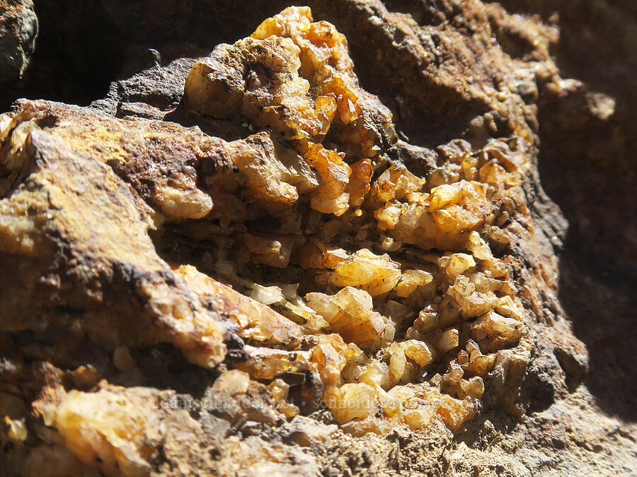 rust-colored crystals [Rock Creek Butte, Wallowa-Whitman National Forest, Baker County, Oregon]