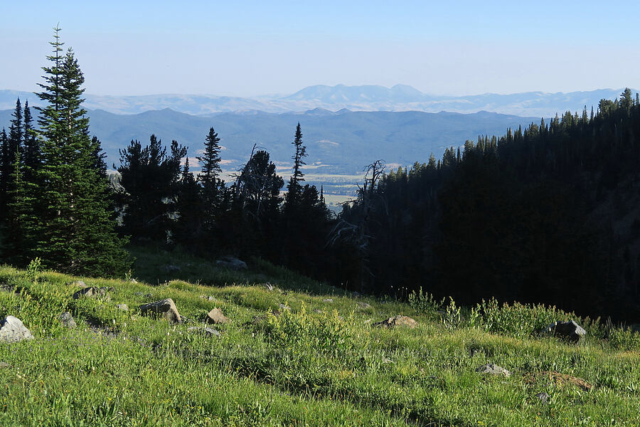 view to the south [Twin Lakes Trail, Wallowa-Whitman National Forest, Baker County, Oregon]