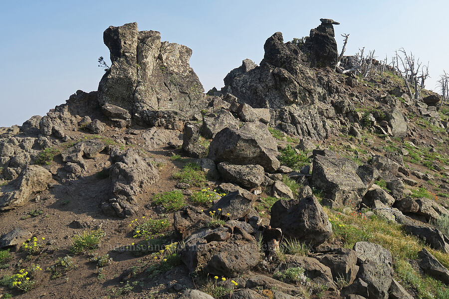 hoodoos [above the Onion Creek Trail, Strawberry Mountain Wilderness, Grant County, Oregon]