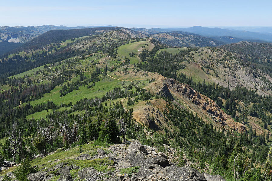 Greenhorn Mountains [Vinegar Hill summit, Malheur National Forest, Grant County, Oregon]