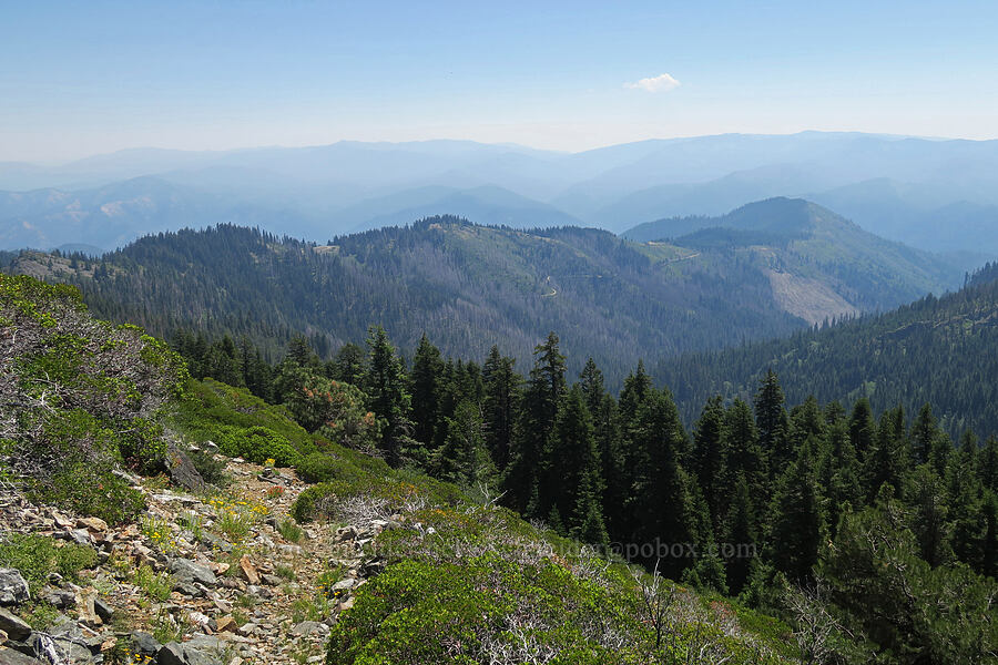 Bearwallow Ridge [Whisky Peak, Rogue River-Siskiyou National Forest, Josephine County, Oregon]
