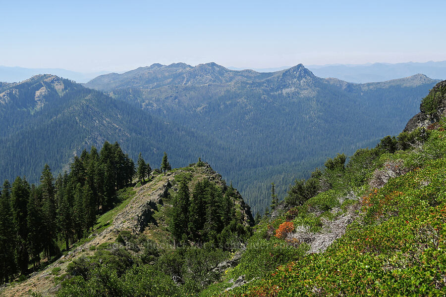 Buck Peak & Figurehead Mountain [Whisky Peak, Rogue River-Siskiyou National Forest, Josephine County, Oregon]