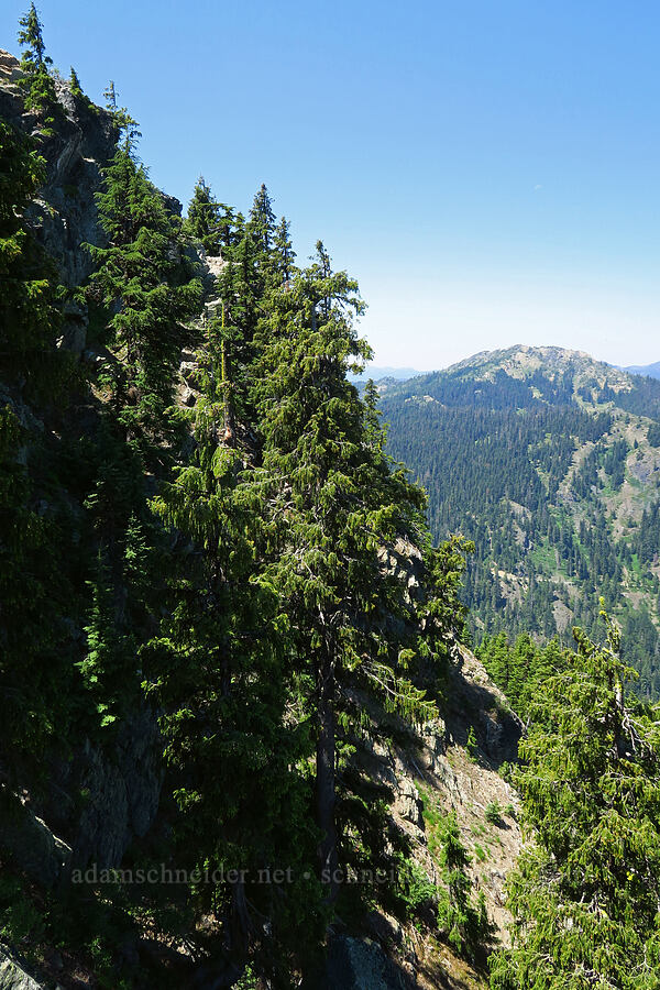 edge of Whisky Peak [Whisky Peak, Rogue River-Siskiyou National Forest, Josephine County, Oregon]