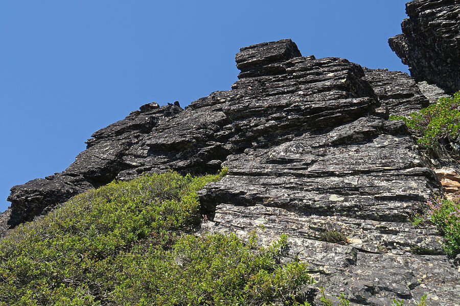 layered rock [Whisky Peak, Rogue River-Siskiyou National Forest, Josephine County, Oregon]