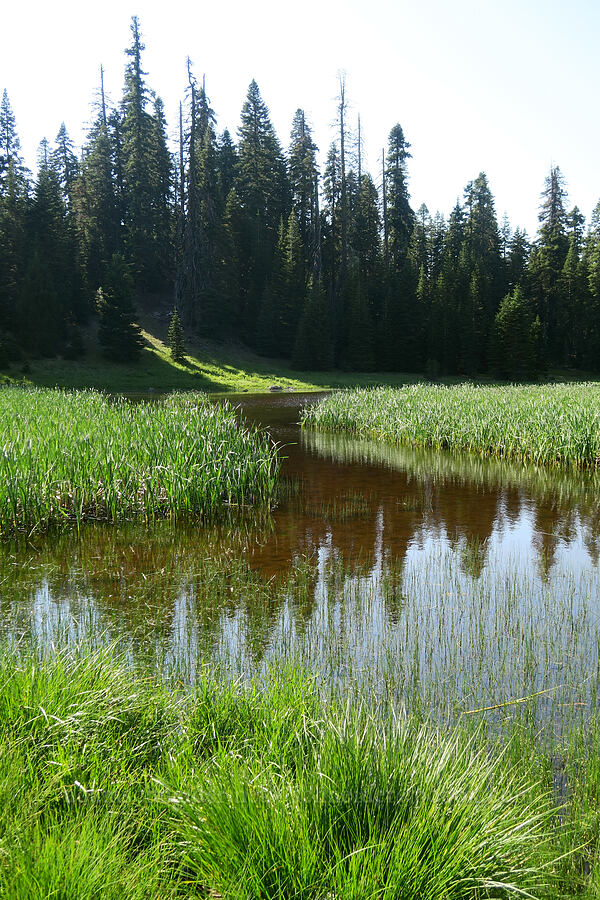 Hinkle Lake [Hinkle Lake Trail, Rogue River-Siskiyou National Forest, Josephine County, Oregon]