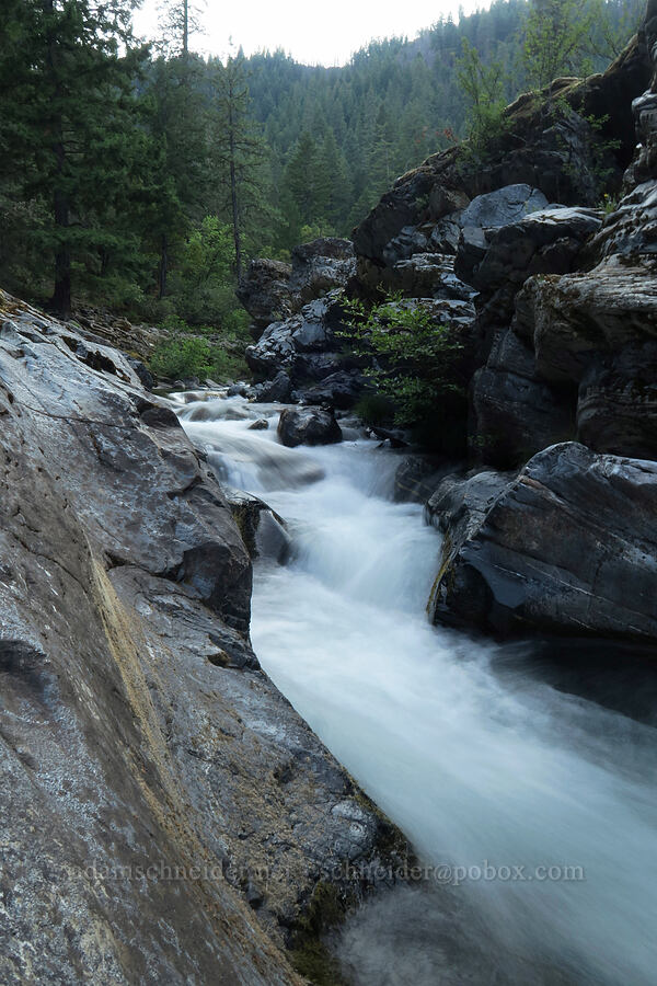 rapids on the Applegate River [Forest Road 1040, Rogue River-Siskiyou National Forest, Siskiyou County, California]