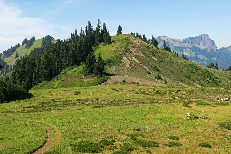 Excelsior Pass [Excelsior Peak, Mt. Baker-Snoqualmie National Forest, Whatcom County, Washington]