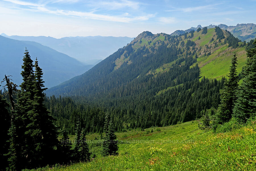 north side of Excelsior Ridge [High Divide Trail, Mt. Baker Wilderness, Whatcom County, Washington]