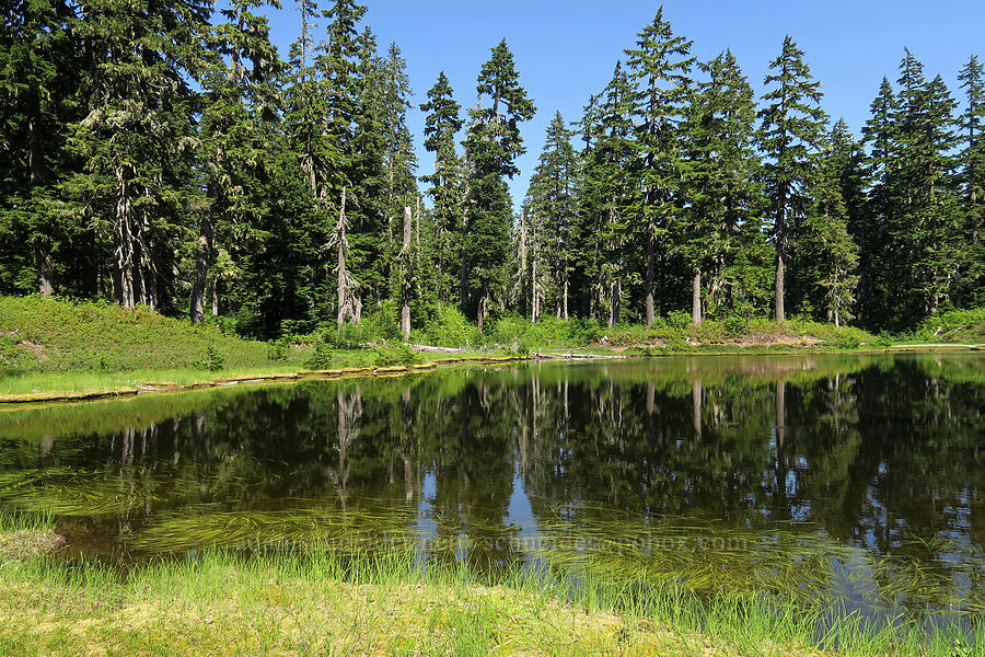 Damfino Lakes [Damfino Lakes Trail, Mt. Baker-Snoqualmie National Forest, Whatcom County, Washington]
