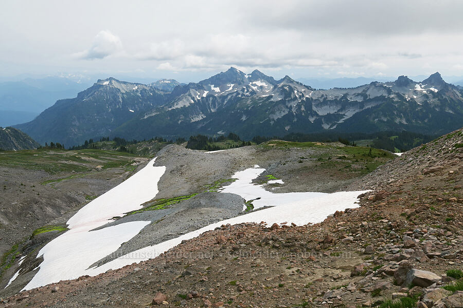 Tatoosh Range & snowfields [Skyline Trail, Mt. Rainier National Park, Pierce County, Washington]
