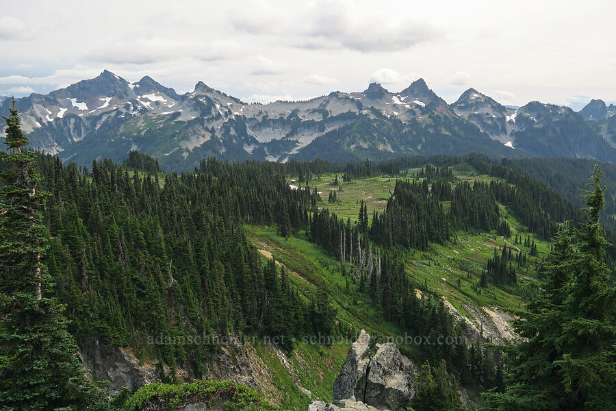 Tatoosh Range & Mazama Ridge [Skyline Trail, Mt. Rainier National Park, Pierce County, Washington]