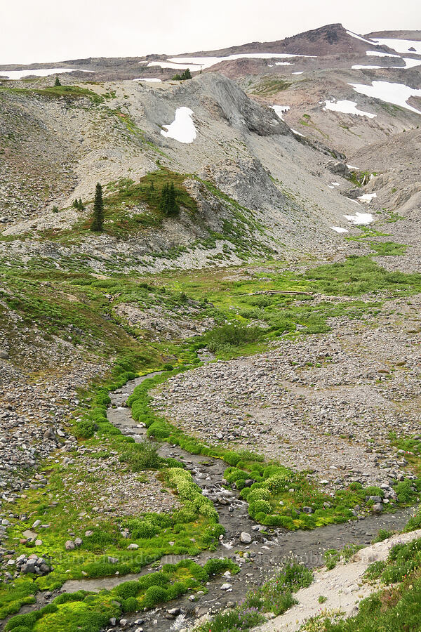 alpine streams [Skyline Trail, Mt. Rainier National Park, Pierce County, Washington]