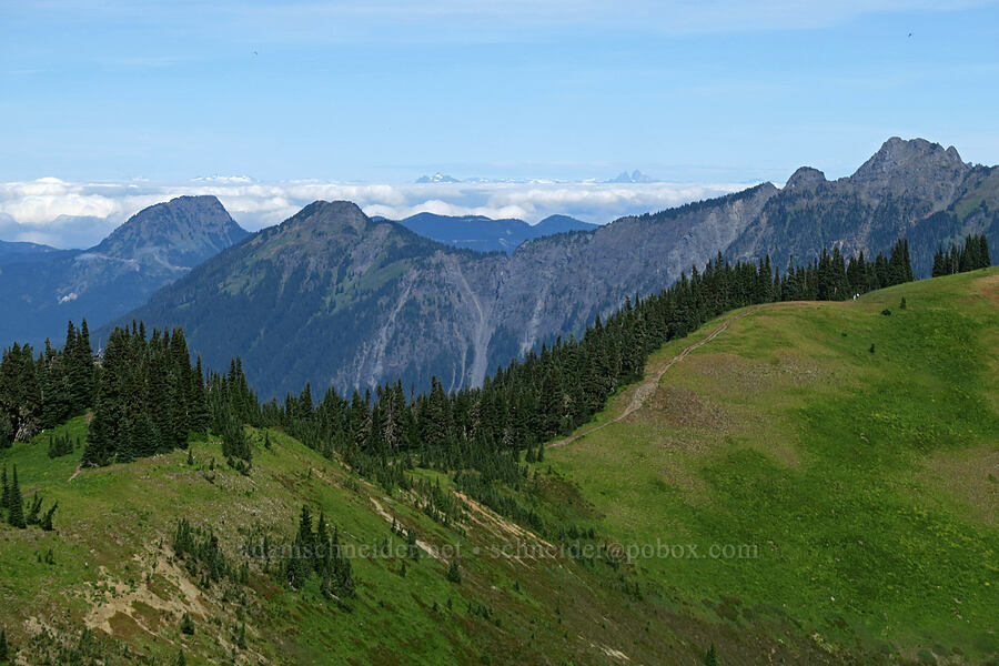 West Church Ridge, Bald Mountain, & Skyline Divide [Skyline Divide Trail, Mt. Baker Wilderness, Whatcom County, Washington]