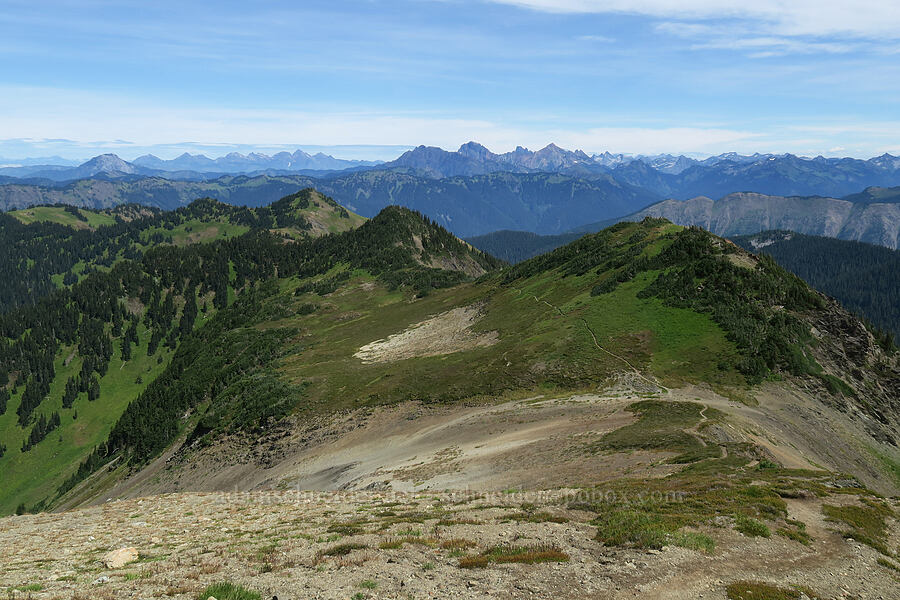 Skyline Divide & a sea of mountains to the north [Skyline Divide Trail, Mt. Baker Wilderness, Whatcom County, Washington]