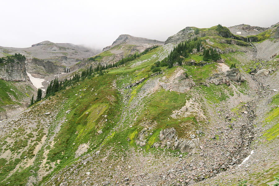 subalpine/alpine slopes above Van Trump Park [Van Trump Park, Mt. Rainier National Park, Pierce County, Washington]