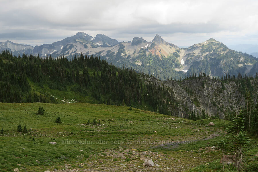Tatoosh Range [Van Trump Park, Mt. Rainier National Park, Pierce County, Washington]