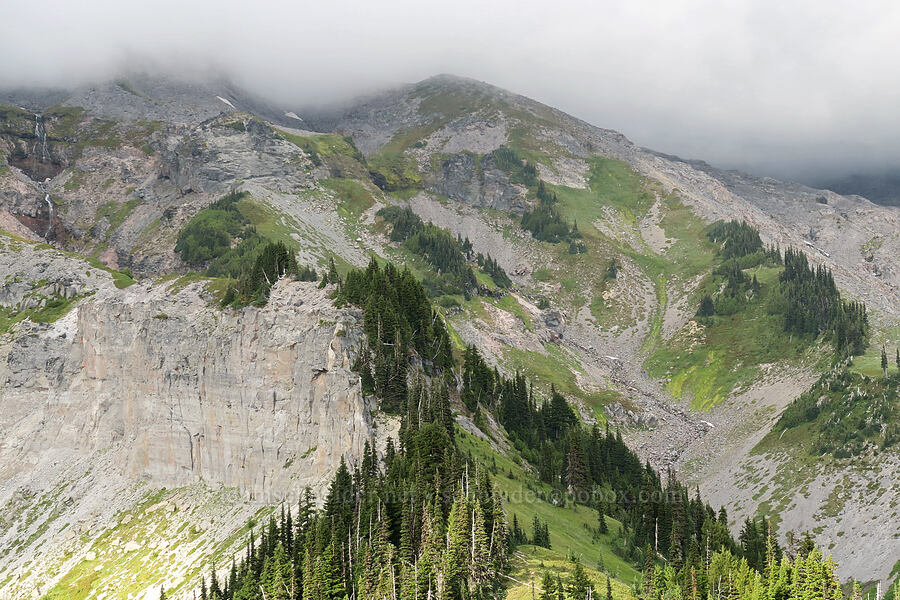 alpine terrain above Van Trump Park [Mildred Point, Mt. Rainier National Park, Pierce County, Washington]