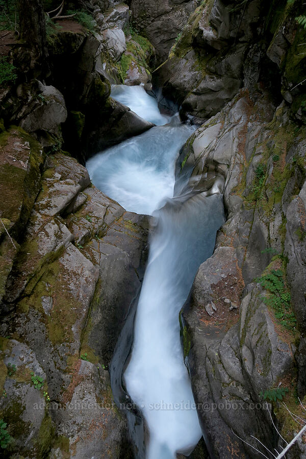 Van Trump Creek above Christine Falls [Comet Falls-Van Trump Trail, Mt. Rainier National Park, Pierce County, Washington]