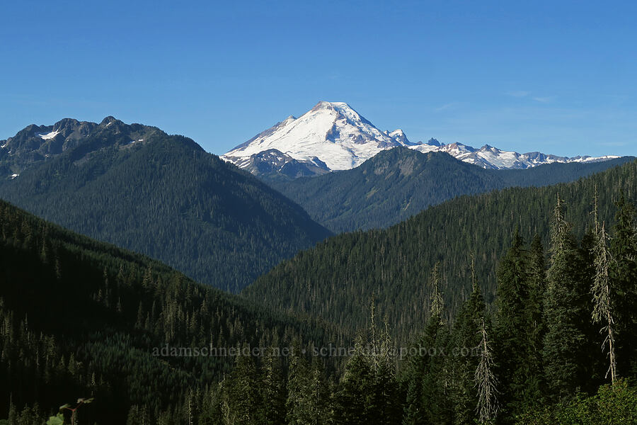 Slate Mountain/Mount Herman, Mount Baker, & Barometer Mountain [Tomyhoi Lake Trail, Mt. Baker-Snoqualmie National Forest, Whatcom County, Washington]