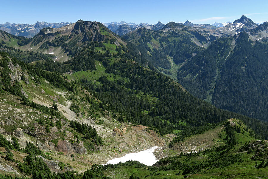 Winchester Mountain and a sea of peaks to the east [Yellow Aster Butte, Mt. Baker Wilderness, Whatcom County, Washington]