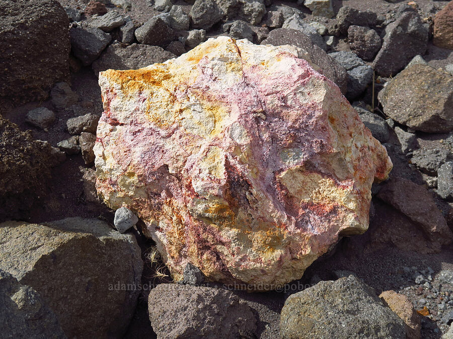 brightly colored rock [above Mt. Hood Meadows, Mt. Hood National Forest, Hood River County, Oregon]