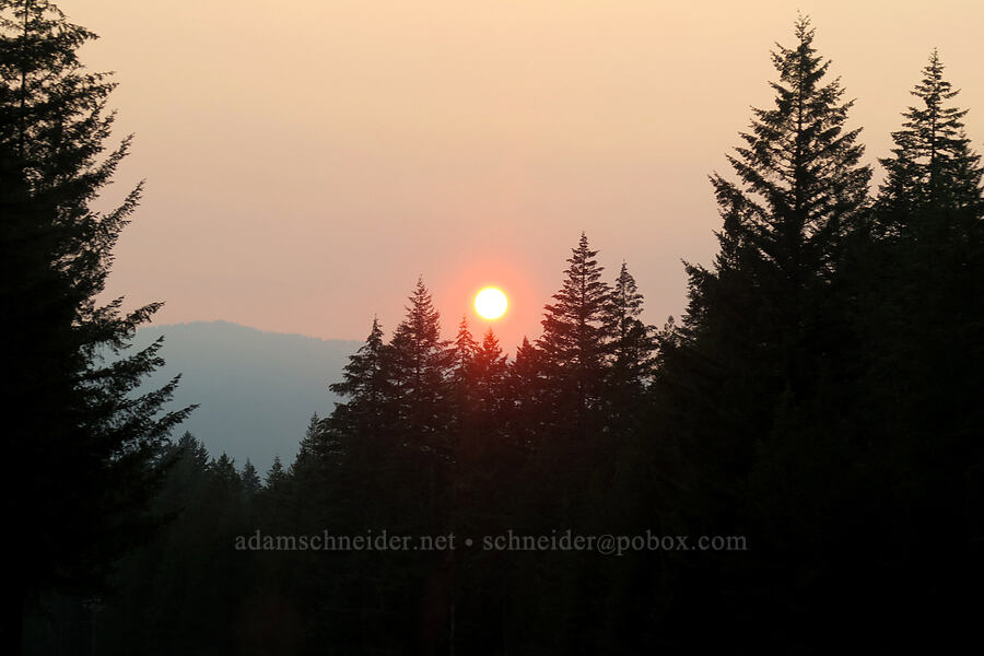 smoky sunset [U.S. Highway 26, Mt. Hood National Forest, Clackamas County, Oregon]