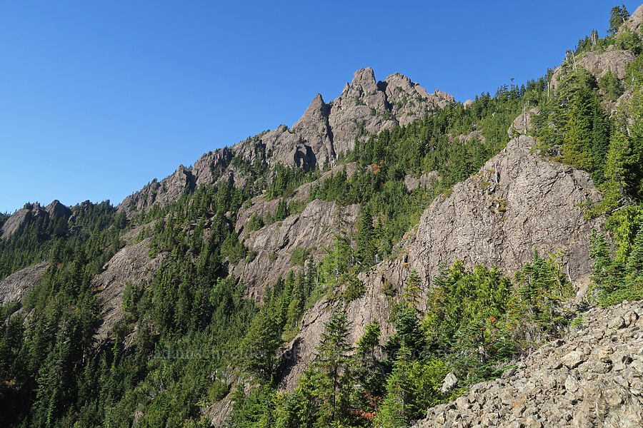 east side of Mount Ellinor [Mt. Washington Trail, Olympic National Forest, Mason County, Washington]