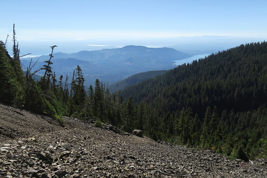 view south over a scree field [Mt. Washington Trail, Olympic National Forest, Mason County, Washington]