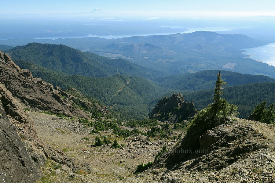 view to the southeast [Mt. Washington Trail, Olympic National Forest, Mason County, Washington]