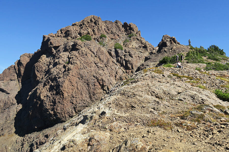 summit of Mount Washington [Mt. Washington Trail, Olympic National Forest, Mason County, Washington]