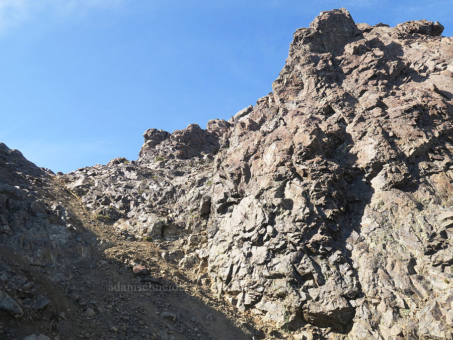 chute on the south side of the summit [Mt. Washington, Mount Skokomish Wilderness, Mason County, Washington]