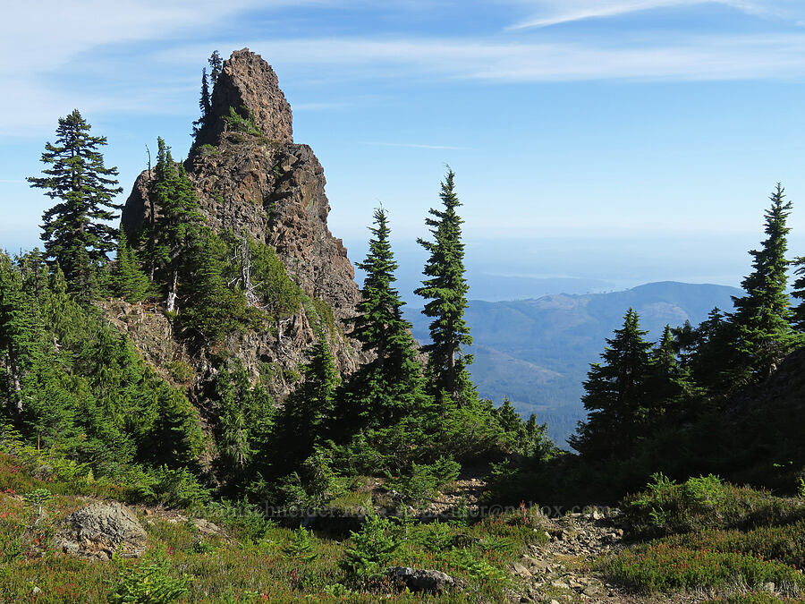 The Horn & the trail [Mt. Washington Trail, Olympic National Forest, Mason County, Washington]