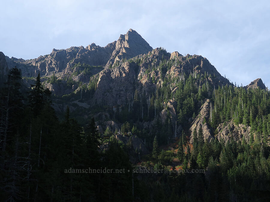 Mount Washington's summit [Mt. Washington Trailhead, Olympic National Forest, Mason County, Washington]