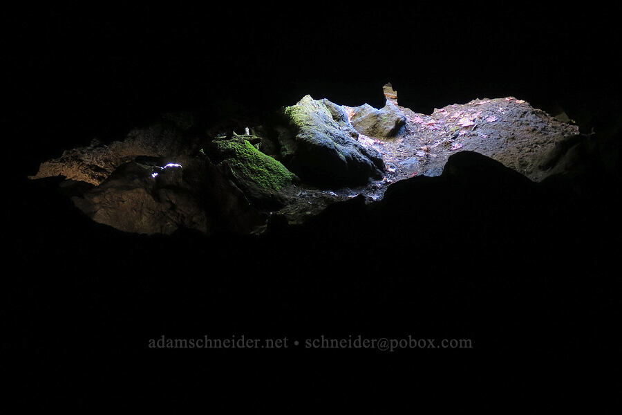 lava cave entrance [Deadhorse Cave, Gifford Pinchot National Forest, Skamania County, Washington]