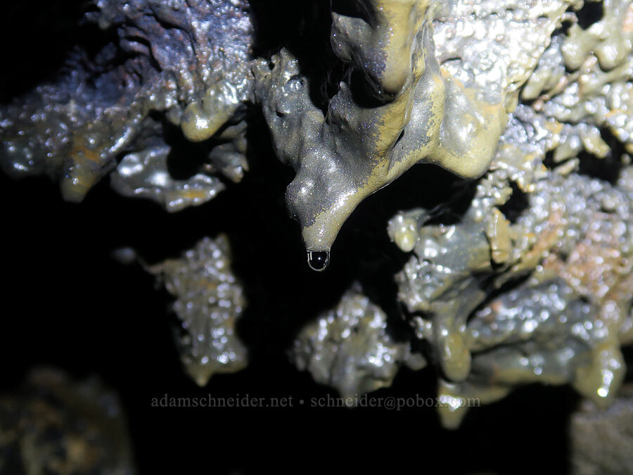 lava drips & water drops [Deadhorse Cave, Gifford Pinchot National Forest, Skamania County, Washington]