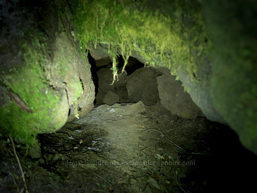 tiny lava cave [Forest Road 8800-717, Gifford Pinchot National Forest, Skamania County, Washington]