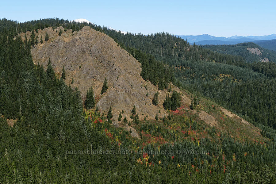 Peak 4913 & fall colors [Sleeping Beauty Trail, Gifford Pinchot National Forest, Skamania County, Washington]